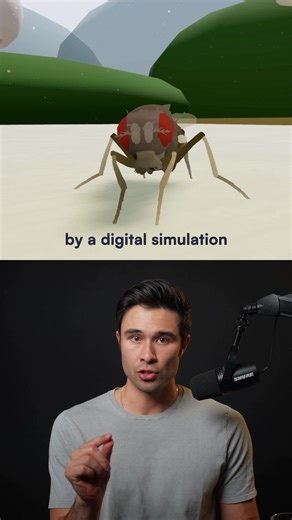 Virtual Fruit Fly Controlled by Simulated Brain: A Breakthrough