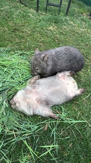 Breakfast in bed: for the days you simply cannot. 🌱