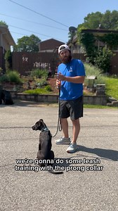 9.2K views · 432 reactions | This is the proper way to training with...