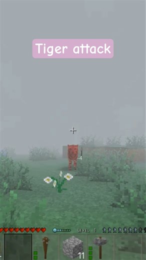 Tiger attack #minecraft #survival craft