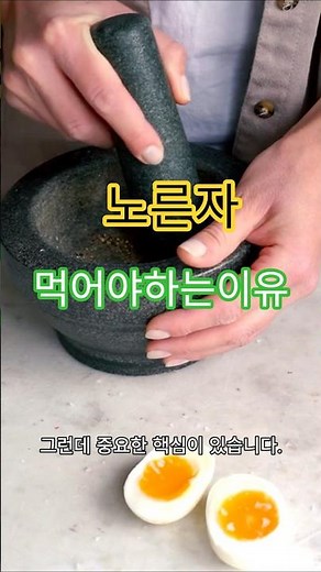 계란의 진짜 영양 구조 (완전 단백질 + 노른자의 비밀)