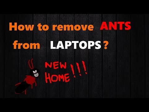 Removing Ants from Laptops