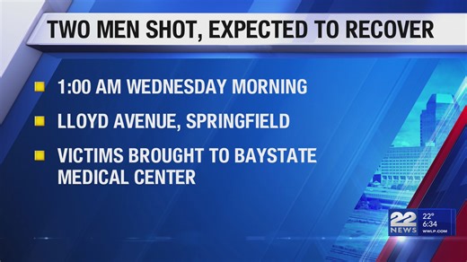 Two men shot on Lloyd Avenue in Springfield, police investigating
