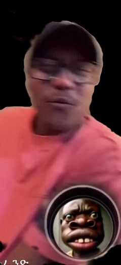 Compilation of Diverse Close-Up Scenes in Black Background