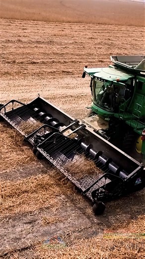 The Dual-Bed Pickup Header is built to help farmers harvest more efficiently in windrowed crops. 🚜 Harvest two windrows in a single pass ⛽ Reduce fuel use and operating costs by cutting field passes In field use, farmers running dual-bed pickup headers often report: • Noticeable fuel savings over the season • Fewer hours logged on the combine • Reduced wear and simpler harvest logistics Same fields. Same crops. Just fewer passes and a lower cost per acre. 👉 Learn how it works: https://bishente