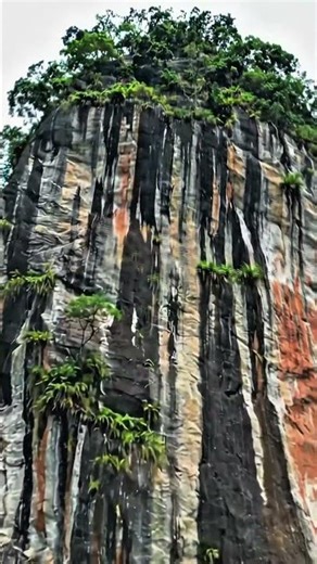 POV: You're Soaring Through the Real Avatar World #Zhangjiajie #Travel