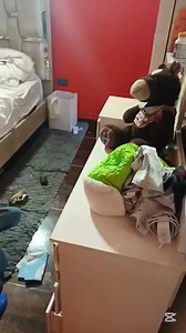 82K views · 4.8K reactions | Les comparto por aquí un video de mi primera rutina en mi perfil de Tik Tok donde comenze, no puedo creer ya casi un año desde que empeze a crear contenido. #familiaflorezarenas | Familia Florez Arenas | Facebook