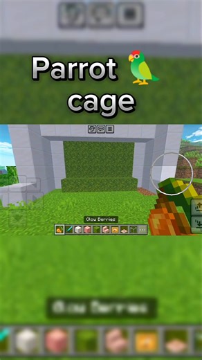 Parrot 🦜 Cage in Minecraft || #minecraft #parrot #build