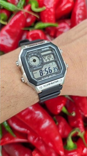 Casio Watch AE1200