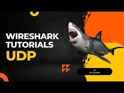 Wireshark Lab 5 - UDP