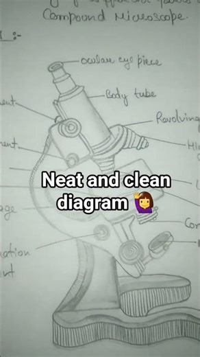 COMPOUND MICROSCOPE DIAGRAM 💯#diagram #newtrend #ytshorts #study #practical #class12th #artistlife