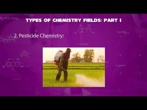 Amy Rose Telling about Types of Chemistry Fields Part 1