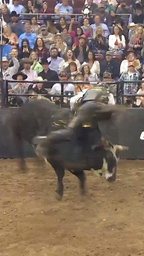 118K views · 2K reactions | The sport of bull riding can be unforgiving, even for the No. 3 cowboy in world! Dalton Kasel gets his ride overturned after taking a shot by Hang 'em High at the 7.93-second mark | PBR | Facebook