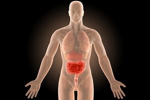 Maladie de Crohn : symptômes, traitements, diagnostic, causes