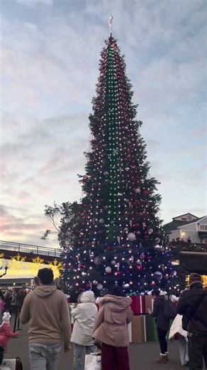 mini Xmas tree light show,