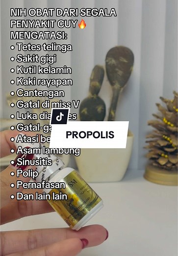Solusi Herbal Propolis untuk Beragam Penyakit
