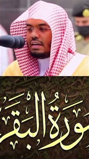 #قرآن#قران_كريم#تلاوة_جميلة#تلاوات#اسلاميات#الذكر#طمأنينة#راحة_نفسية#آيات#تدبر#QuranKareem#Quran