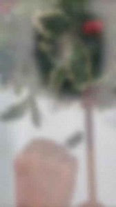 Stunning Christmas Porch Ideas! 😍🎄 #chrsitmas