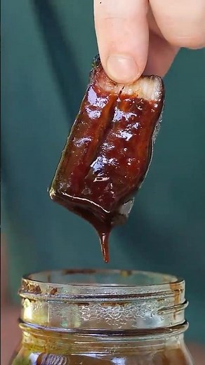 Smoked Pork Belly & Cherry Molasses BBQ Sauce with Brandyn Baker | Bear Mountain BBQ