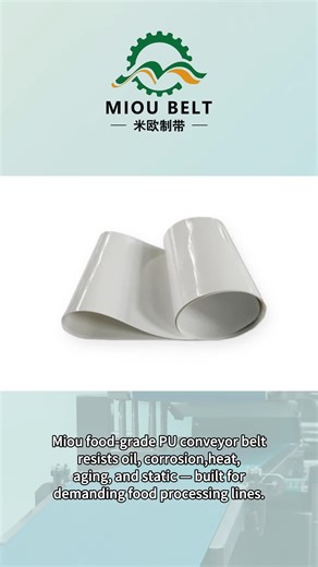 Food-grade PU Conveyor Belts for Reliable Processing