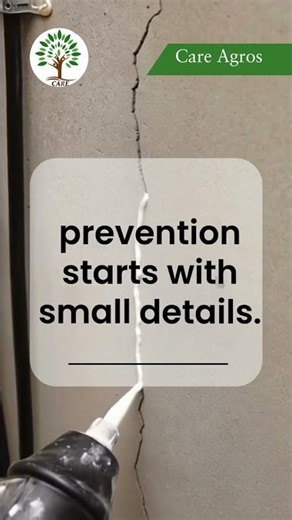 🏢Is your office pest safe? #shorts #pestcontrol