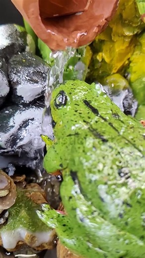 Whispering Frog Pond Fountain with Flowing Water 🐸💧 #diy #concrete #fountain | RusticKraft