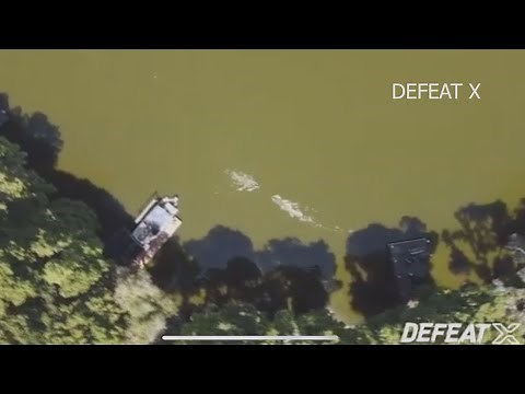 WATCH | Drone captures alligator attack on man swimming in Florida