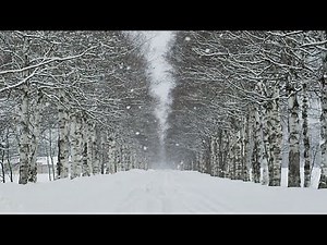 北海道十勝 雪景色 Snowscape in Tokachi ( Shot on RED ONE High-speed )
