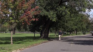 Faster than a speeding zombie, CharmPass brings a new level of convenience and confidence when traveling by transit - and it’s all right there on your phone. Download it free and get free transfers between Local Bus, Metro SubwayLink and Light RailLink too! Visit https://mta.maryland.gov/charmpass to download today! #WeAreYourMDOTMTA #mdot news | Maryland Transit Administration