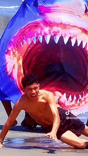 The funny shark 🦈🤣 #funny #funnyvideo #funnyvideos #funnyprank #comedy