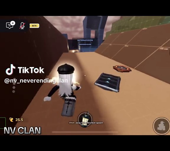 NV(NeverEnding) on TikTok