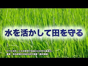 水を活かして田を守る