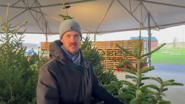 37 reactions | Rees, Kate and family guide you around the Roundhouse inside the farm park where we sell Christmas Trees at the farm and take a behind the scenes look at Sue's wreaths. Want to find out more about our Christmas Trees? Why not head to the webpage to take a look: https://www.overfarm.co.uk/real-christmas-trees/ #realchristmastree #familylife #christmas2023 | Over Farm | Facebook