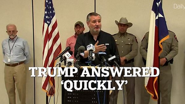 Ted Cruz praises Trump's response during Texas Country Hill flooding