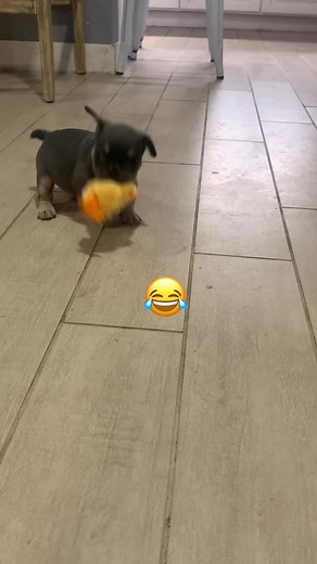 Gabriel Franco on Reels