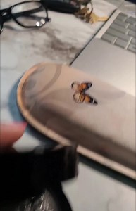 Watch No more lashes boxes everywhere on Amazon Live