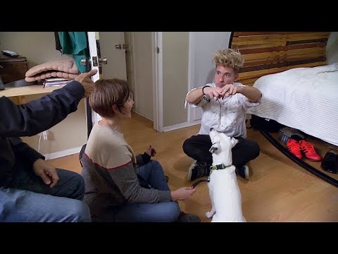 Here's How You Teach A Dog Sign Language | Rescue Dog to Super Dog