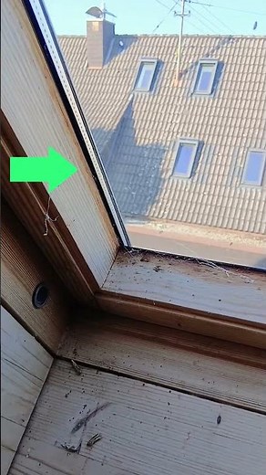 Dachgeschoss Ausbau - was beachten - Mängel im Wärmeschutz
