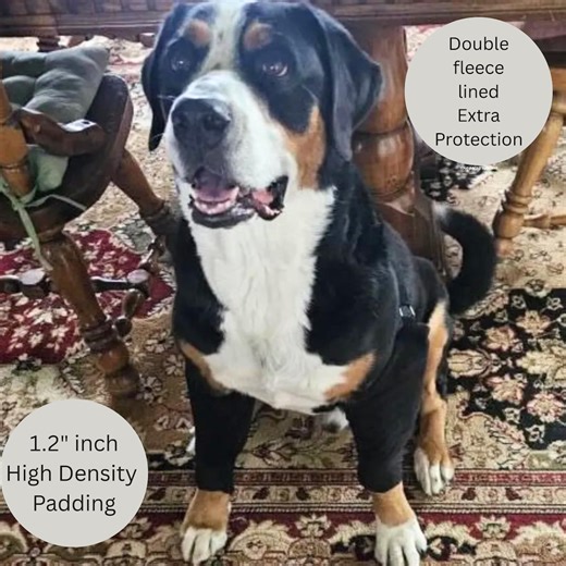 Dog Elbow Protector, Padded Sleeve for Sore Dog Elbows, Hygroma - Etsy