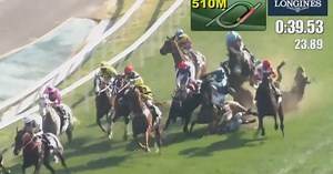 Horrorunfall bei Galopprennen: Pferde stürzen auf der Zielgeraden