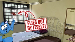 54K views · 88 reactions | There’s a flying cockroach flying in your room? Watch this to the end then. | Goody Feed | Facebook