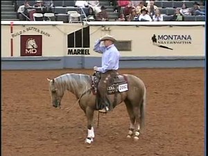 Matt Dillon Dun It - 2005 AQHA Sr. Working Cow Horse World Champion