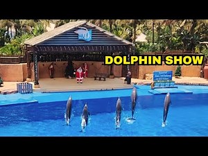 uShaka Marine World 🐬 🐬🐬 | Dolphin Show | Durban | South Africa