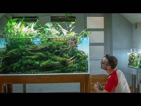 ASTONISHING AQUASCAPE GALLERY IN POLAND - MUST SEE FULL TOUR