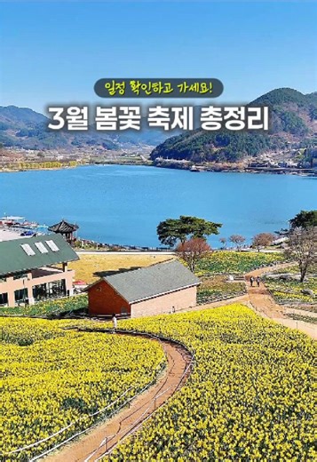 봄꽃 축제 총정리: 3월의 아름다움을 만나다