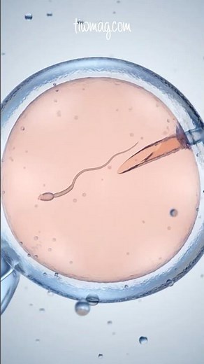 Understanding Reproductive Justice