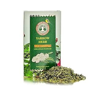 Yarrow Herb, Wild Harvested, Premium Quality, 2.65 OZ (75 Grams) – Herbal Tea