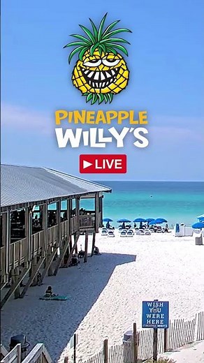 Pineapple Willy's Live Beach Cams