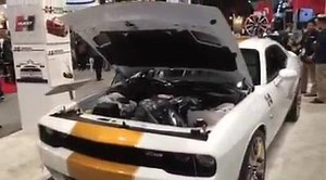 618 reactions · 252 shares | The Hurst Supercat GSS Challenger...