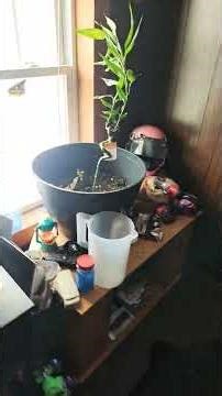 kat vr c2 plus enhanced all set up and ready to go just needs some adjustments